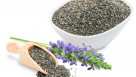 Benefits of Chia Seed for horses!!! – Good for Riders to!