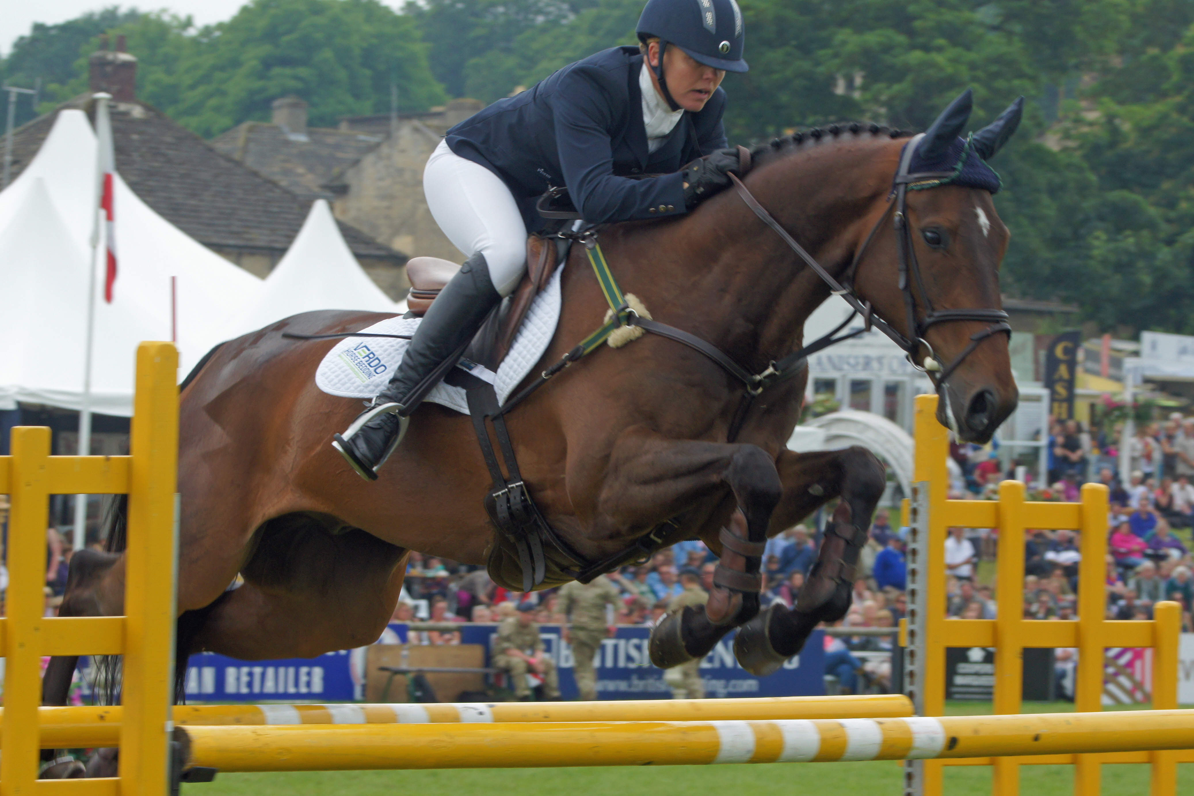 Bramham CCI*** with Birch Equestrian  – Two horses and a baby!
