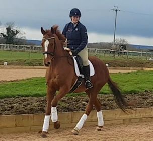 Anyone Can Whistle – The ex racehorse who has turned his hoof to most things!