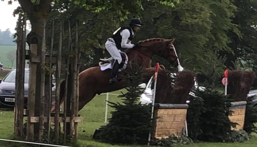Double Clear Dan :The Dressage Horse Turned Eventer Finishes 5th In The MMCUP