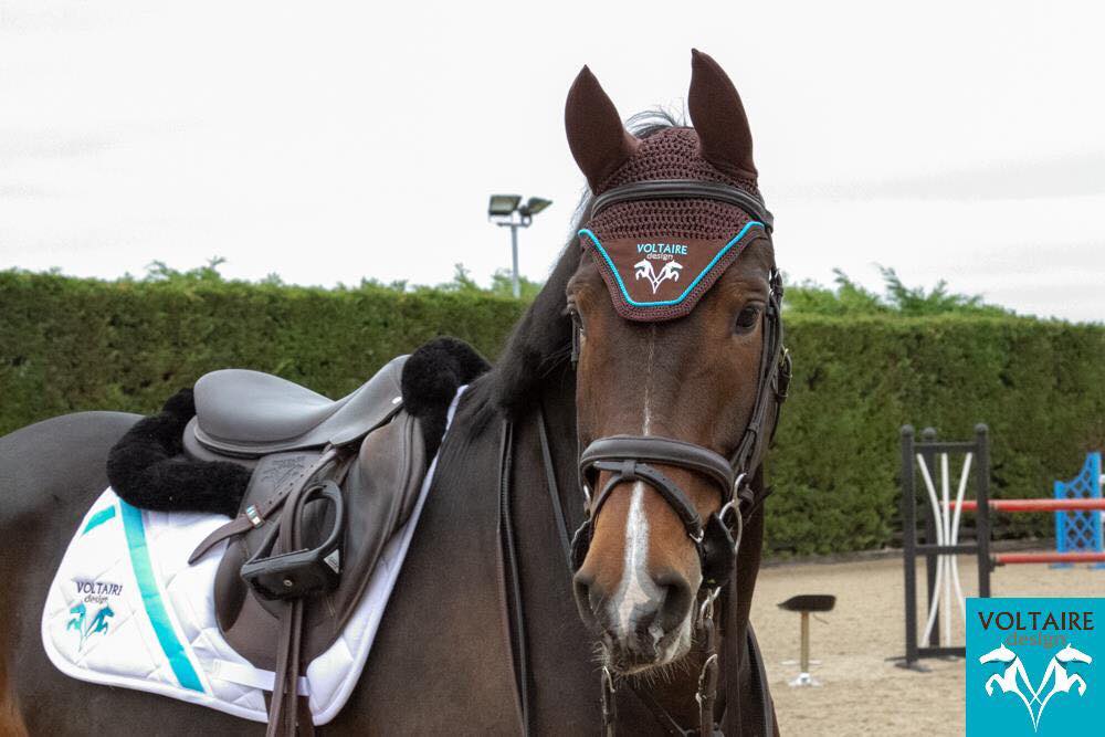 Voltaire Design sponsor Hickstead, The All England Showground
