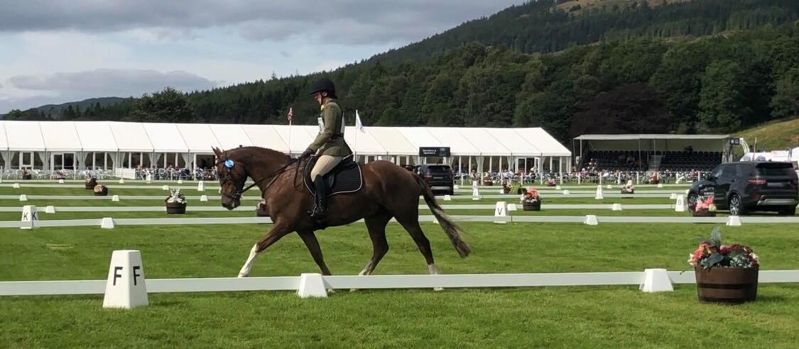 Sitting pretty after Dressage : Sarah Brown and Balhagarty Perfection at Blair Castle