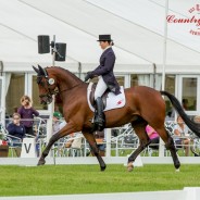 Life In Time and Giorgia Burns Complete their CCI2*L Dressage at Blair