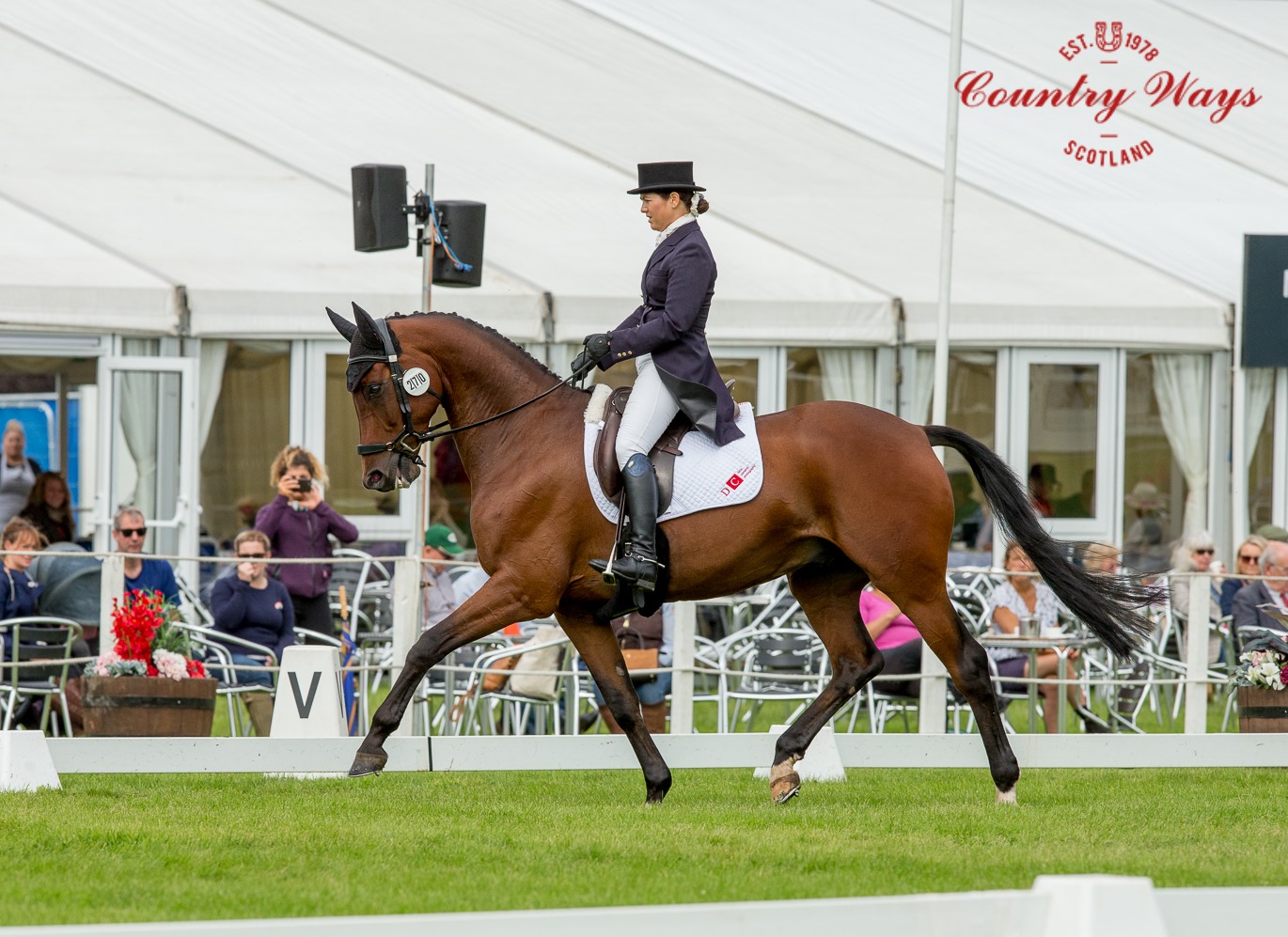 Life In Time and Giorgia Burns Complete their CCI2*L Dressage at Blair