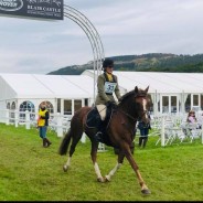 Sarah Brown Completes the SCBE90 Championship Showjumping