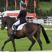 Berkeley leads Blair CCI4*S going into the cross country