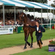 Equine Fashion Icon Dee Kennedy Returns to Burghley this year with Chequers Playboy