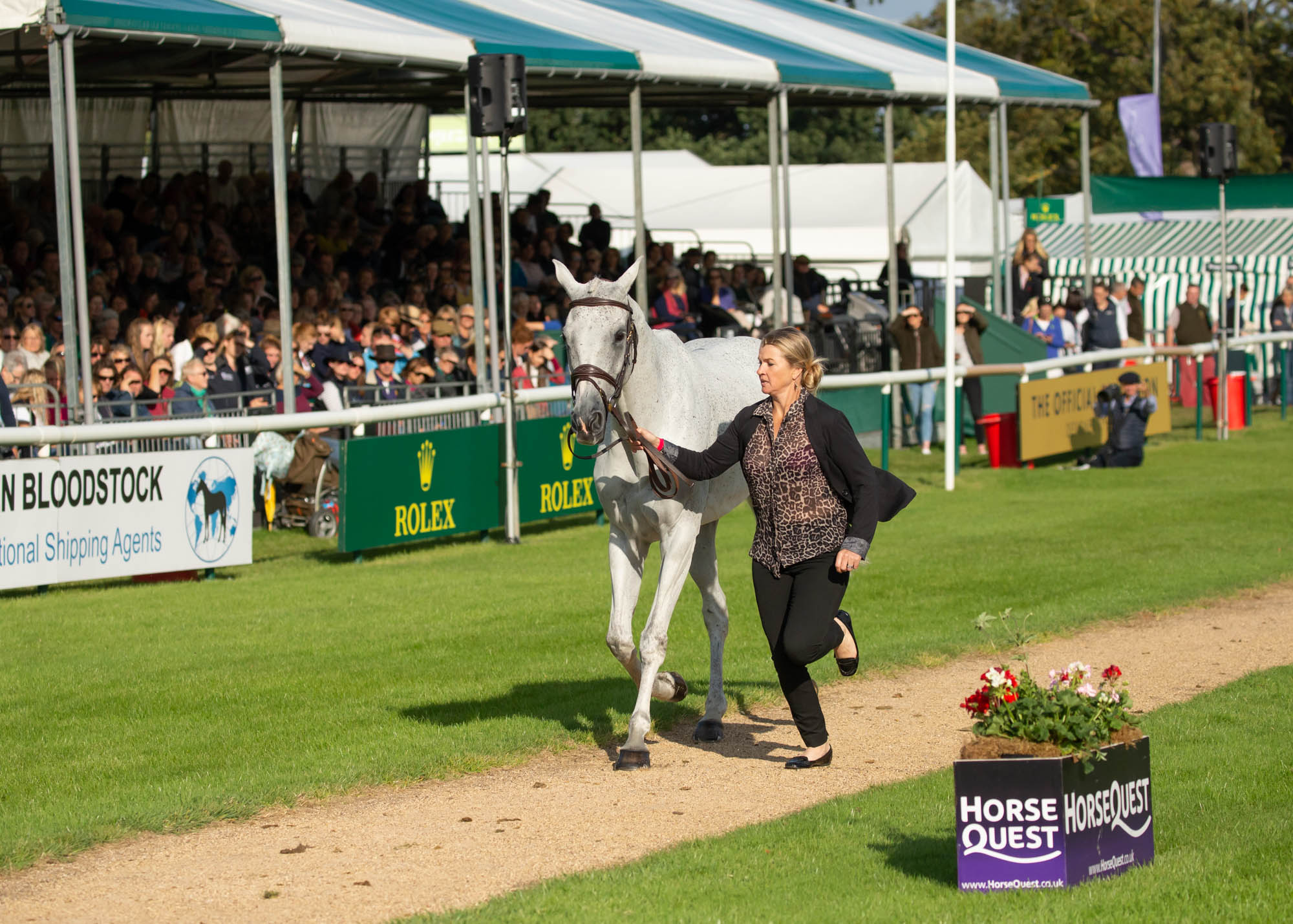 Prices are Dynamite at Burghley 2019 :The Cross Country Queen Jonelle rides Faerie Dianimo