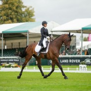 Chequers Playboy Does His best 5* Dressage to Date This Year At Burghley : Dee Kennedy