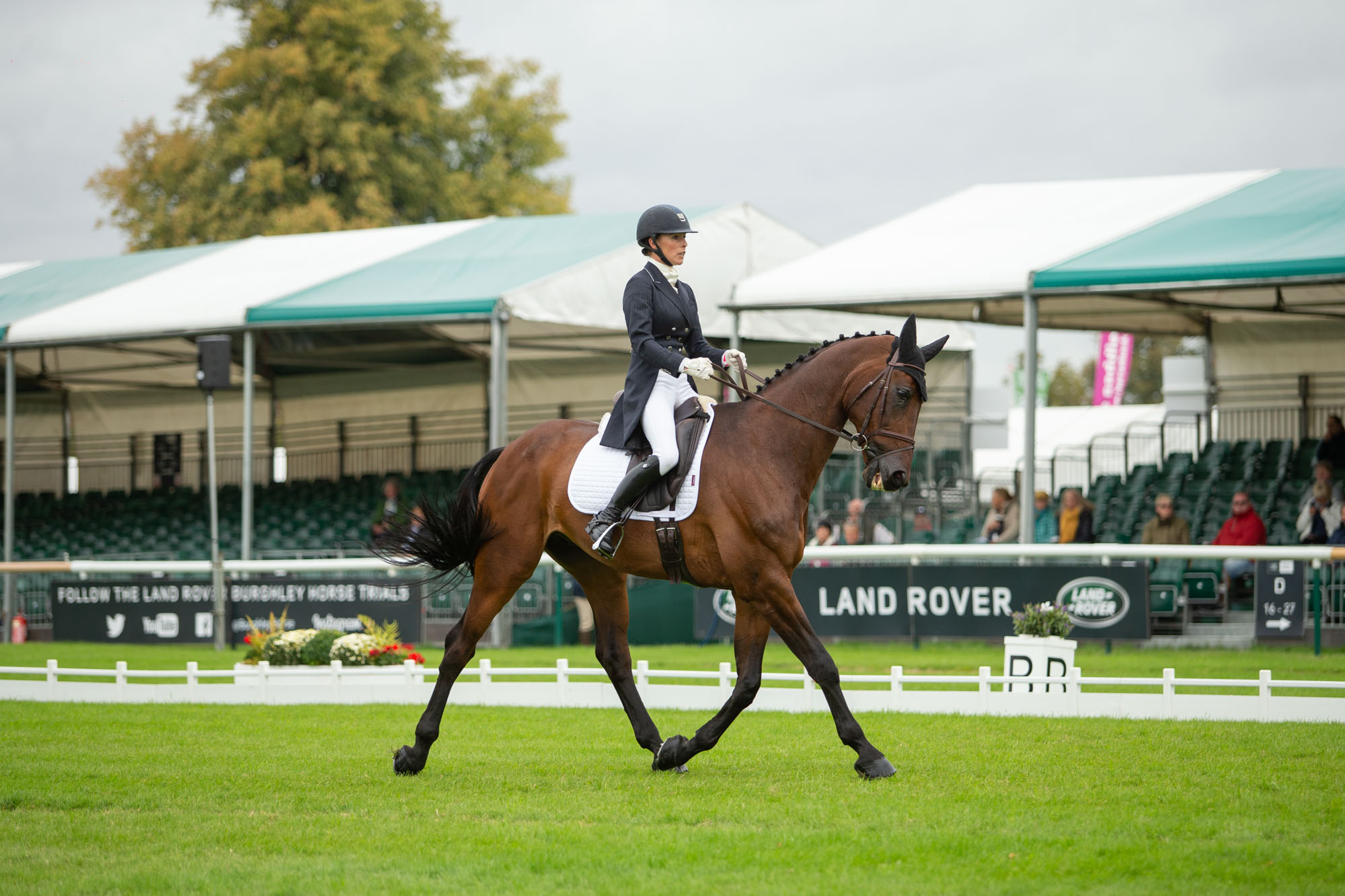 Chequers Playboy Does His best 5* Dressage to Date This Year At Burghley : Dee Kennedy