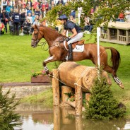 Perfect Pathfinder Price on the Beautiful Bango at Burghley 2019