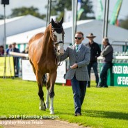 Two rides for Michael Owen at Burghley this year – We caught up with him to find out more!