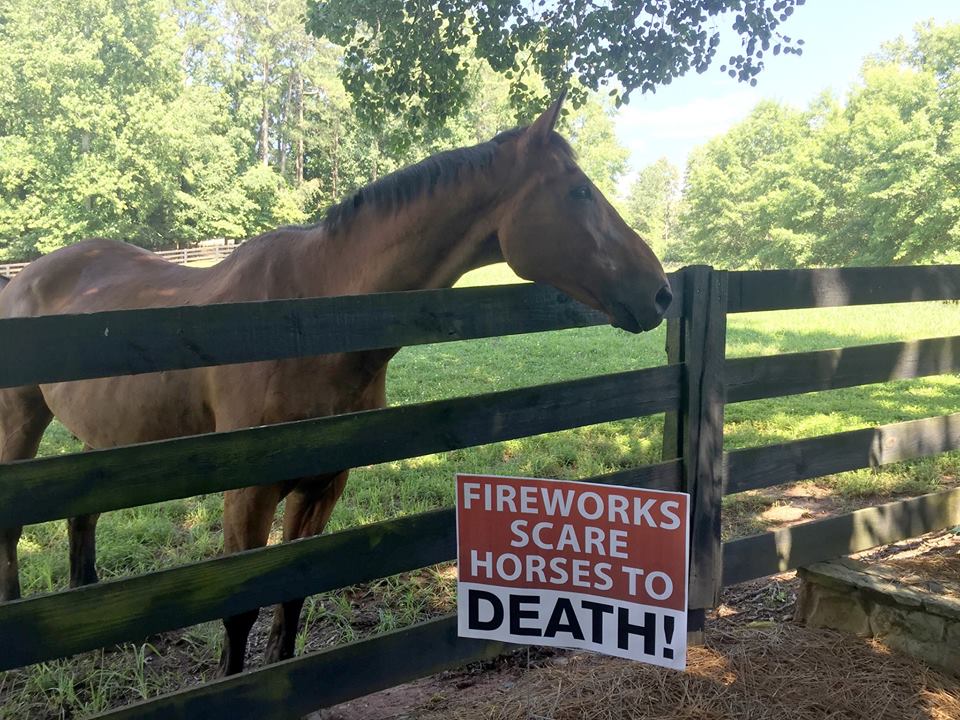 Shetland Pony Welfare Trust create a petition: All venues that hold firework displays to be licenced