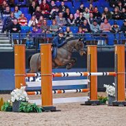 Prolific winner Tabitha Kyle hit top form on day three of the TheraPlate UK Liverpool International Horse Show.
