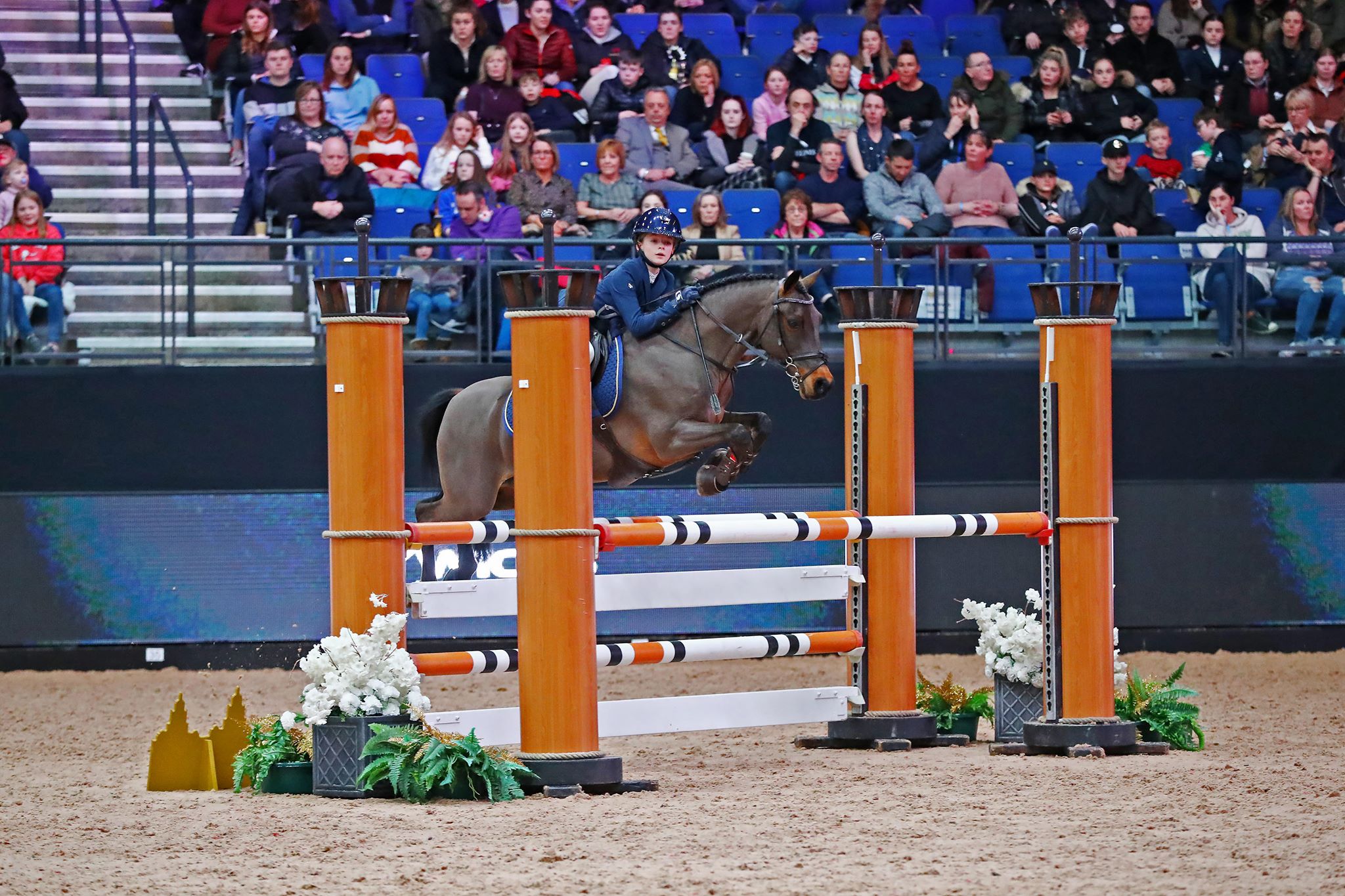 Prolific winner Tabitha Kyle hit top form on day three of the TheraPlate UK Liverpool International Horse Show.