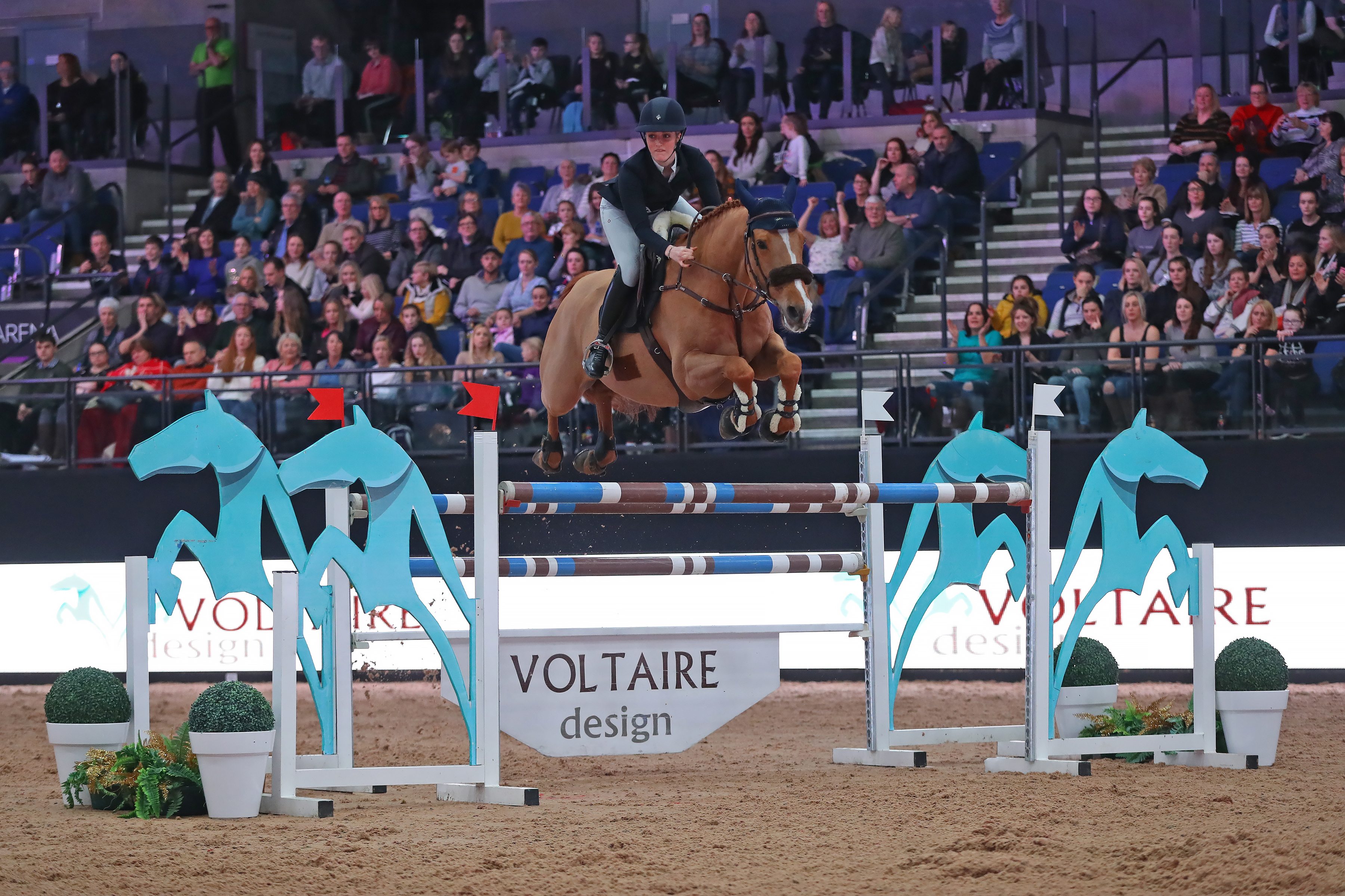 Lily Attwood continued a run of British success at the TheraPlate UK Liverpool International Horse Show by winning the Voltaire Design speed class