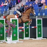 Joss Williams Claims an Impressive Victory in the CSIAm-A Jump off 1.15m sponsored by Equestrian Surfaces