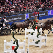 SHEER EXELL-ENCE AT OLYMPIA, THE LONDON INTERNATIONAL HORSE SHOW