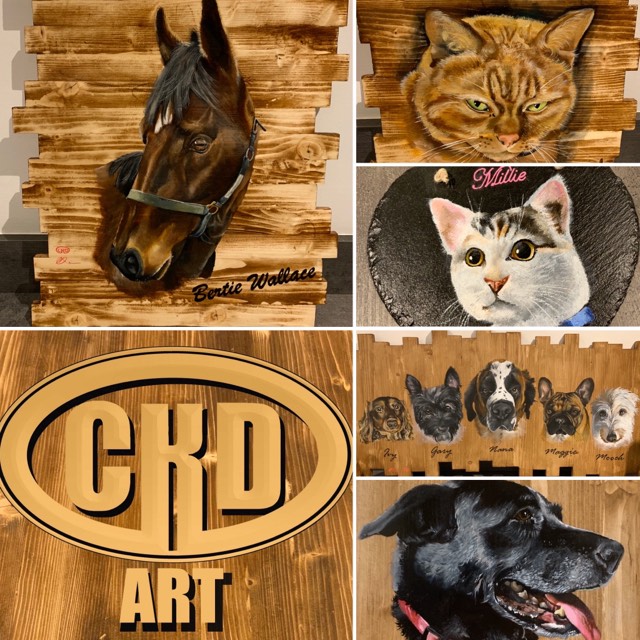 Looking for a Pet Portrait