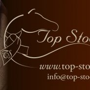Topstocks