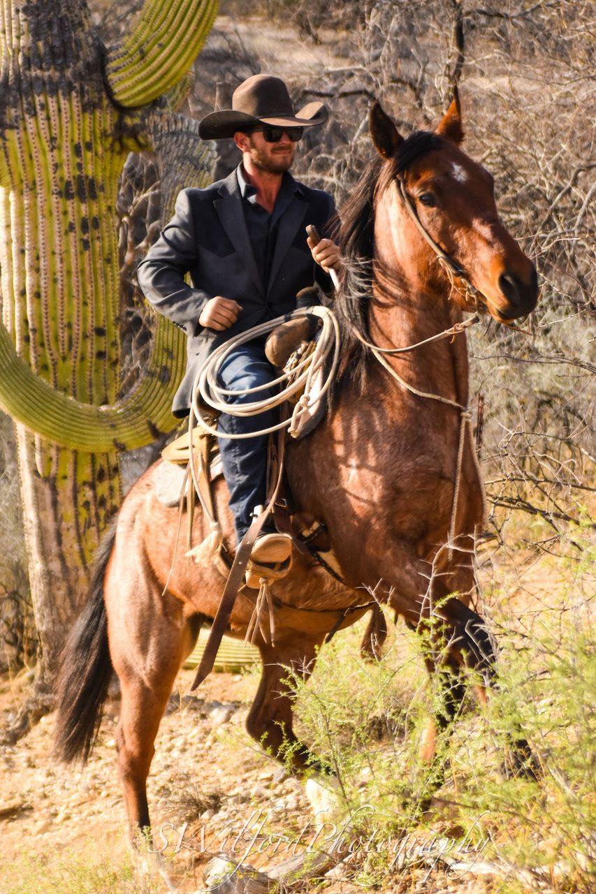 Have you ever hit a wall with a young horse you’ve been working with?